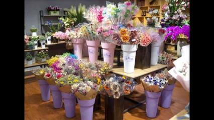 云南国色忝香花卉 流星花园鲜花提供价值产品